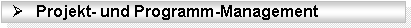 Wir &uuml;bernehmen die komplette Projektsteuerung f&uuml;r einzelne Projekte oder f&uuml;r komplexe Projektlandschaften im Rahmen eines Programm-Managements.